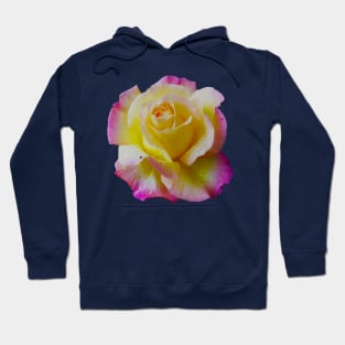 Pretty Yellow and Pink Rose Hoodie